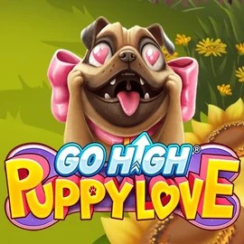 game logo by RubyPlay on casinoprestige.pl